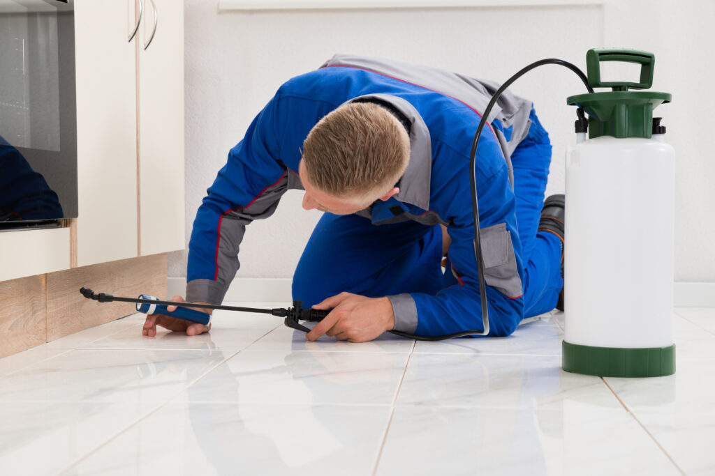 Tipton Ant Control Xperts