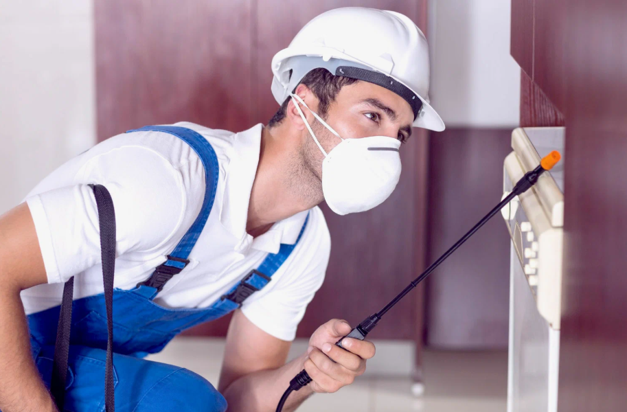 Corcoran local pest services